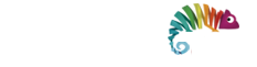 WebFormas Agência de Marketing em São Paulo